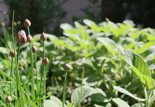 Familiennachmittag im Klostergarten