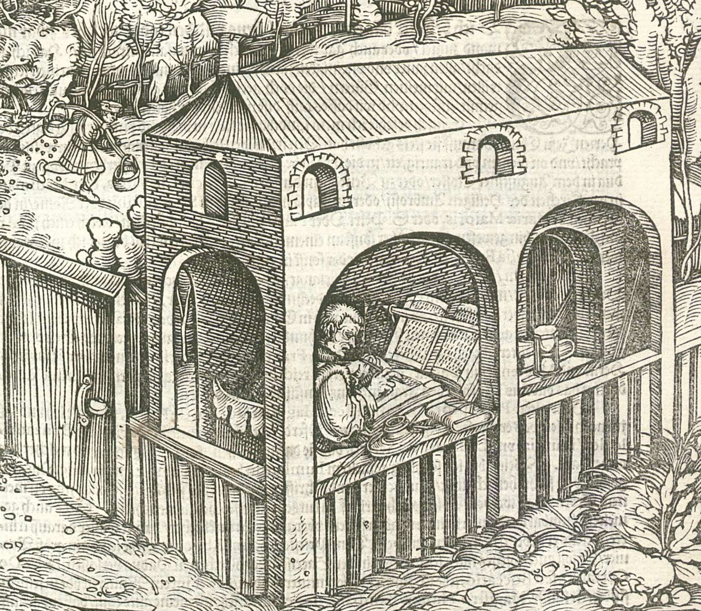 petrarca_schreiber.jpg